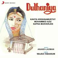Thaane Mein Repat Likha Doongi Anand - Laxman,Kavita Krishnamurthy Song Download Mp3