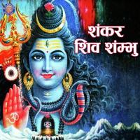 Purusha Suktam (Shiva) Vighnesh Ghanapaathi,Gurumurthi Bhat,Shridhara Bhat Song Download Mp3