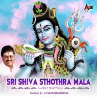 Bhavaya Chandra Chudaya S.P. Balasubrahmanyam Song Download Mp3