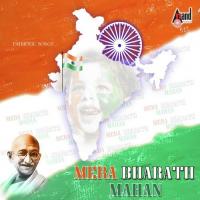 Bharatheeya Hain Hum (Instrumental) Various Artists Song Download Mp3