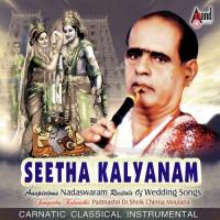 Nanu Palimpa - Mohanam Padmashri Dr. Sheik Chinna Moulana Song Download Mp3