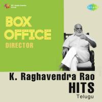 Box-Office Director - K. Raghavendra Rao Hits songs mp3