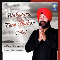 Waheguru Tera Shukar Hai Baljit Singh Zira Song Download Mp3