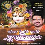 Ram Krishn Hari Vithal Vithal Shradheya Gaurav Krishan Goswami Ji Song Download Mp3