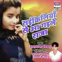 Saikiliya Se Aa Gayile Raja Sushil Prajapati Song Download Mp3