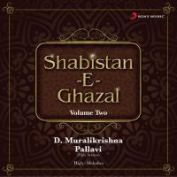 Shabistan-E-Ghazal, Vol. 2 songs mp3