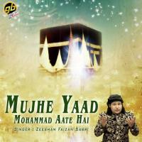 Mujhe Yaad Mohammad Aate Hai Zishan Faizan Sabri Song Download Mp3