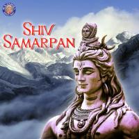 Om Namah Shivaya Vighnesh Ghanapaathi,Gurumurthi Bhat,Shridhara Bhat Vedadhara Song Download Mp3