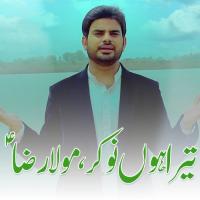 Tera Hon Naukar Maula Raza Mohsin Abbas Song Download Mp3