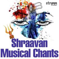 Shiv Tandav Stotra Om Voices Song Download Mp3
