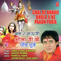 Chal Re Bhauji Bhola Ji Ke Paaon Pooje Sunil Chhaila Bihari Song Download Mp3