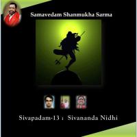Sivapadam 13: Sivananda Nidhi songs mp3