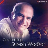 Celebrating Suresh Wadkar songs mp3
