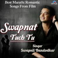 Swapnat Tuch Tu Swapnil Bandodkar Song Download Mp3