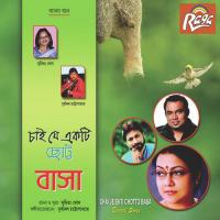 Onek Aaghaat Peye Sreeradha Bondopadhayay Song Download Mp3