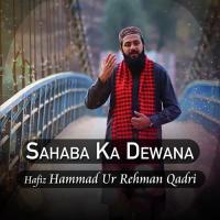 Sahaba Ka Dewana Hafiz Hammad Ur Rehman Qadri Song Download Mp3