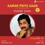 Tumi Eshechile Jiboner Aamar Kumar Sanu Song Download Mp3
