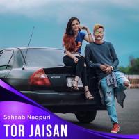 Tor Jaisan Sahaab Nagpuri Song Download Mp3