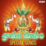 Varalakshmi Namostuthe (From "Sri Varalakshmi Pooja Vidhanam & Sri Varalakshmi Songs") Bombay Sisters Song Download Mp3