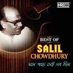 Mone Pade Sei Sab Din - Best Of Salil Chowdhury songs mp3