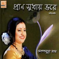 Pran Sudhay Bhore songs mp3