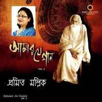 Amar Hiyar Majhe Pramita Mullick Song Download Mp3