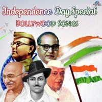 Jai Ho India Vicky D. Parekh,Babul Supriyo Song Download Mp3