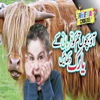 Aou Bacho Tumko Qurbani Ki Yake Dikhaye Shahbaz Song Download Mp3