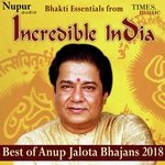 Kanhaiya Mera Apki Kripa Se Anup Jalota Song Download Mp3