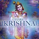 Jai Radhe Jai Radhe (From "Jai Radhe Jai Radhe") Acharya Mridul Krishan Shastri Song Download Mp3