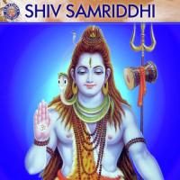 Om Namah Shivaya Vighnesh Ghanapaathi,Gurumurthi Bhat,Shridhara Bhat Vedadhara Song Download Mp3