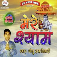 Mere Shyam songs mp3