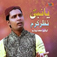 Ya Nabi Nazre Karam Farmana Tauqeer Ahmed Niazi Song Download Mp3