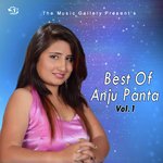 Best Of Anju Panta, Vol-1 songs mp3