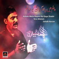 Aalam Mein Bapaa Ho Gaya Shabir Tera Matam Zohaib Hassan Song Download Mp3