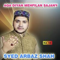 Aqa Diyan Mehfilan Sajany songs mp3