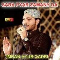 Sara Pyar Zamany Da songs mp3