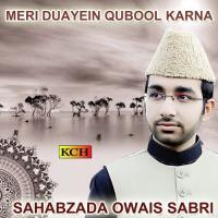 Darbar E Mustafa Main Sahibzada Owais Sabri Song Download Mp3