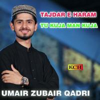 Ay Sabz Gunbad Waly Muhammad Umair Zubair Qadri Song Download Mp3