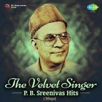 The Velvet Singer - P.B. Sreenivas Hits - Telugu songs mp3