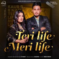Teri Life Meri Life Kaur B,R Nait Song Download Mp3