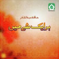 Her Ek Shay Main Hafiz Abdul Qadir Song Download Mp3