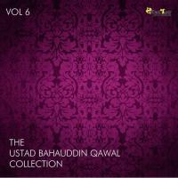 Ustad Bahauddin Qawal Collection, Vol. 6 songs mp3