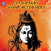 Om Namaah Shankar Mahadev songs mp3