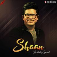 Shaan Birthday Special songs mp3