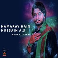 Hamaray Hain Hussain a.s songs mp3