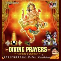 Sri Vishnu Sahasranamam Pravin Godkhindi Song Download Mp3