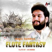 Magic Bamboo-Flute Fantasy songs mp3