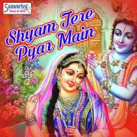 Deewani Main Teri Rajnish Sharma Song Download Mp3