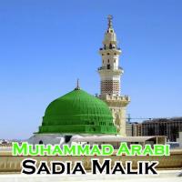Muhammad Arabi songs mp3
